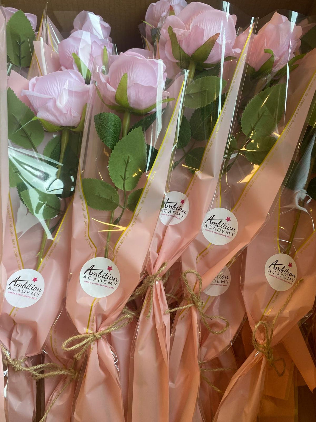 Ambition Pink Roses